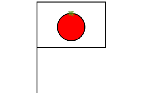 Japan Flag